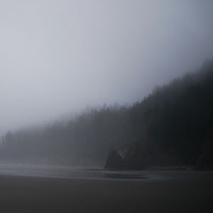 Meet your Posher, Paloma